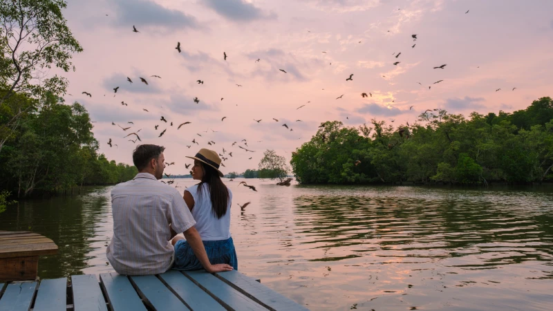 A Romantic Getaway to Kerala Backwaters: A Couple’s Guide