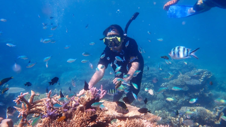 Andaman Coral Reef Conservation: How You Can Help