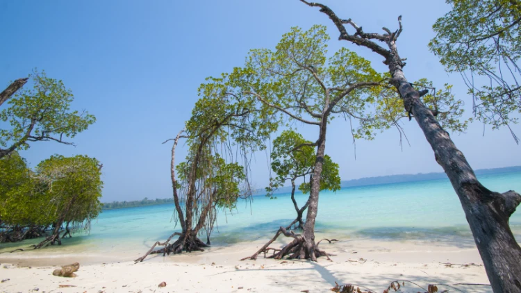 Andaman Travel Guide for Luxury Travelers: Exclusive Experiences and Resorts.