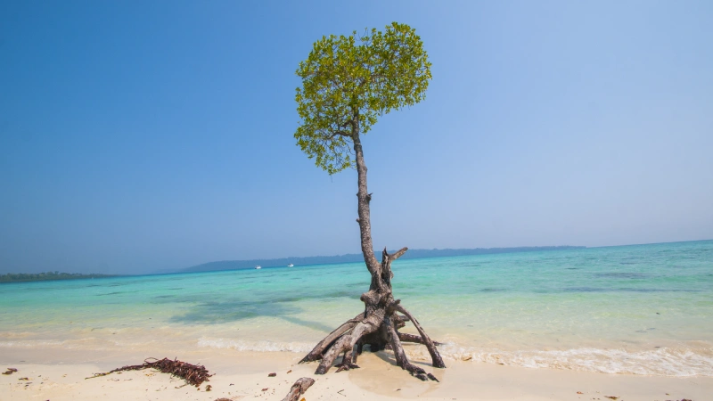 Andaman Travel Safety Tips: Stay Safe and Enjoy Your Trip (2025)