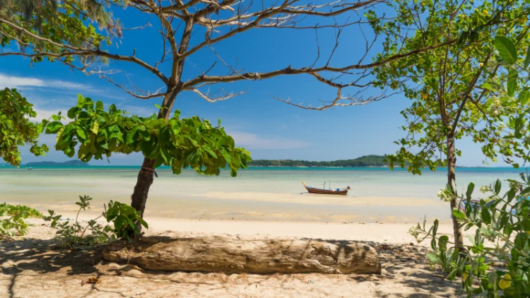 Andaman vs Goa: Best Beaches and Nightlife – Which One Should You Choose?