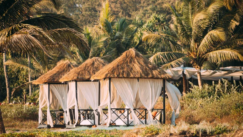 Best Beach Shacks in Goa: Food, Drinks, and Vibes