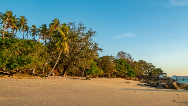 Best Time to Visit Palolem Beach_ Weather and Travel Tips