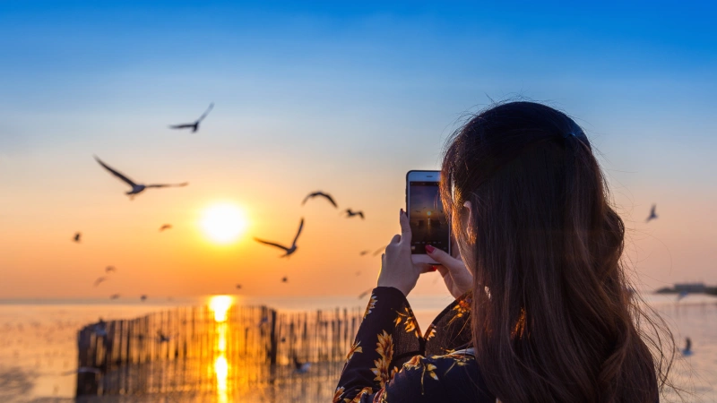 Bird Watching in Andaman: Top Spots for Nature Enthusiasts