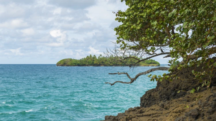 Cinque Island Travel Guide: A Hidden Gem in Andaman