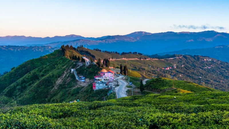 Darjeeling for Students Budget Travel Tips and Must-Visit Places