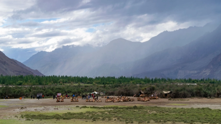 Diskit Monastery Nubra Valley 2025: History and Travel Guide