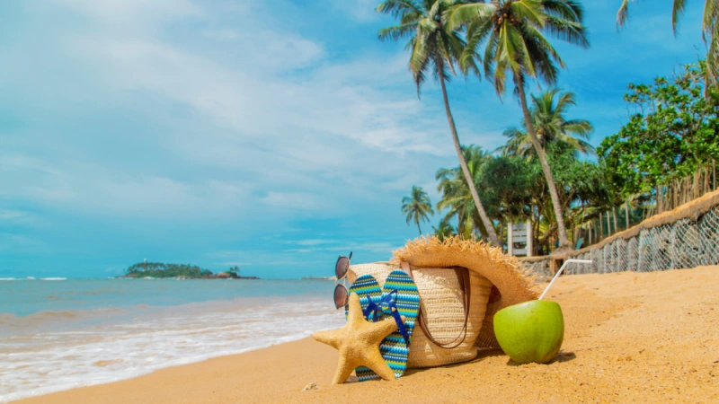 Goa Beaches on a Budget_ Money-Saving Tips for Travelers