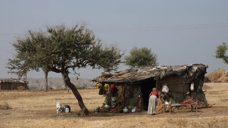 Hampi Village Life: Exploring Rural Hampi – A Journey into Simplicity and Tradition