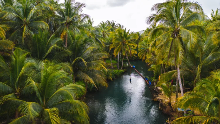How to Avoid Crowds in Kerala Backwaters: Insider Tips