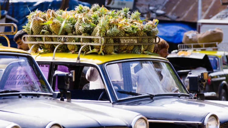 How to Reach Kerala Backwaters: Transportation Options and Tips