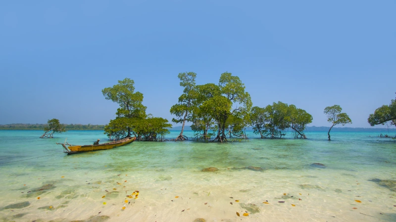 How to Travel Responsibly in Andaman and Nicobar Islands.