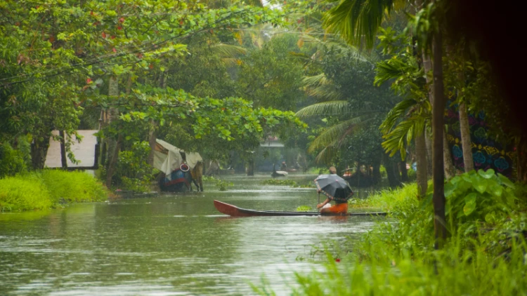 Kerala Backwaters During Monsoon: What to Expect and How to Prepare