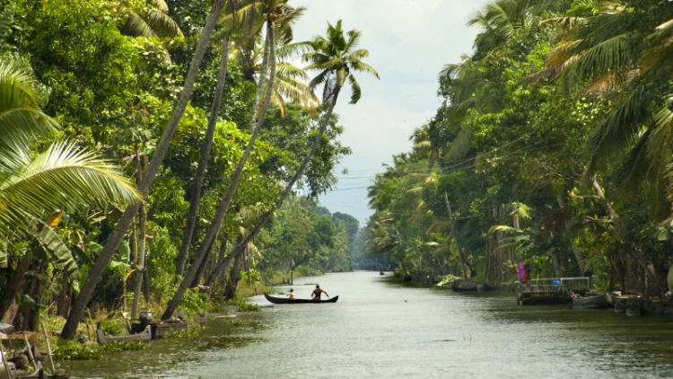 Kerala Backwaters Houseboat Guide: Types, Costs, and Booking Tips