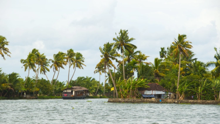 Kerala Backwaters Myths and Legends: Stories Behind the Serene Waters.