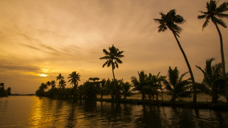 Kerala Backwaters at Sunrise: A Solo Traveler’s Memorable Moment