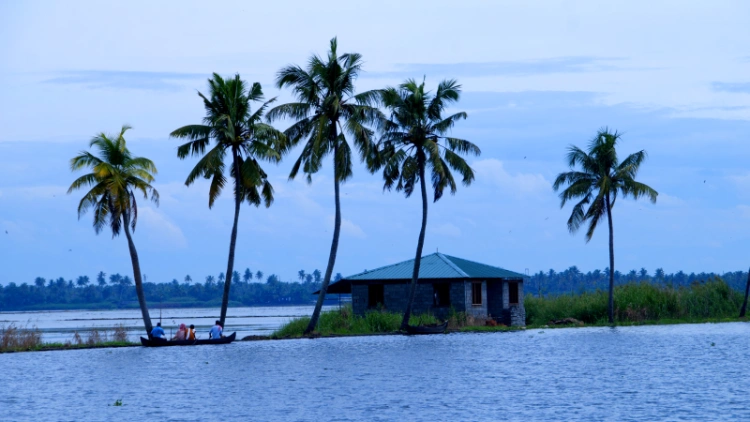 Kerala Backwaters for First-Time Visitors: A Complete Guide