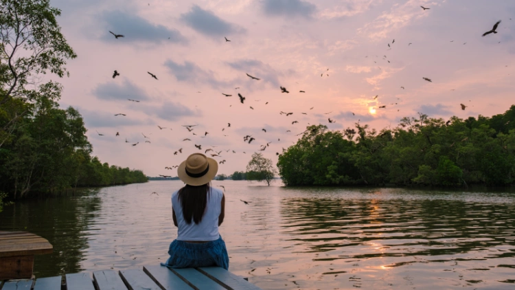 Kerala Backwaters for Solo Travelers: A Safe and Memorable Experience