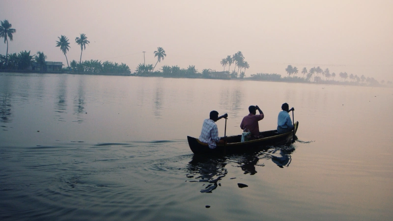 Kerala Backwaters in Winter: A Guide to Visiting During the Cold Season