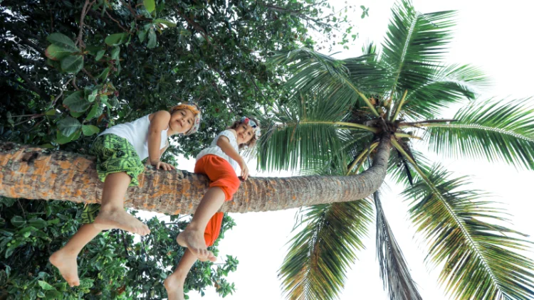 Kerala Backwaters with Kids: A Family’s Adventure