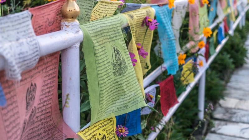 Language and Communication in Darjeeling: A Traveler’s Guide