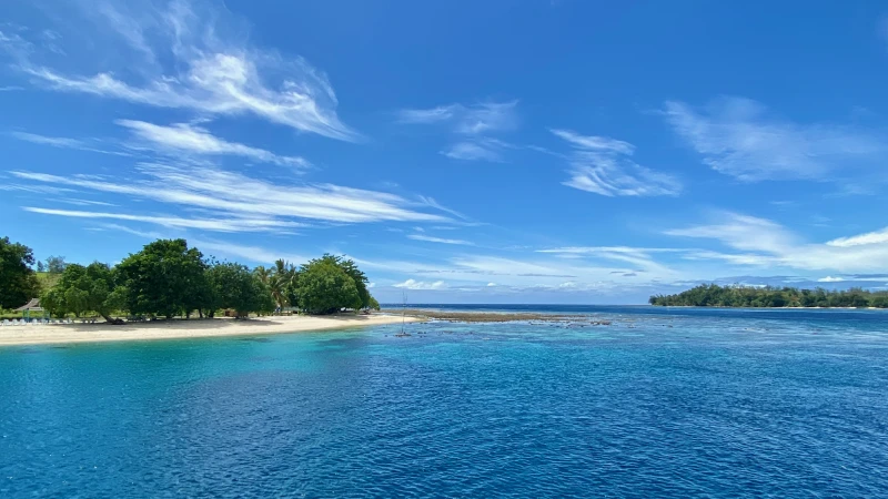 Neil Island Travel Guide: A Serene Paradise in Andaman