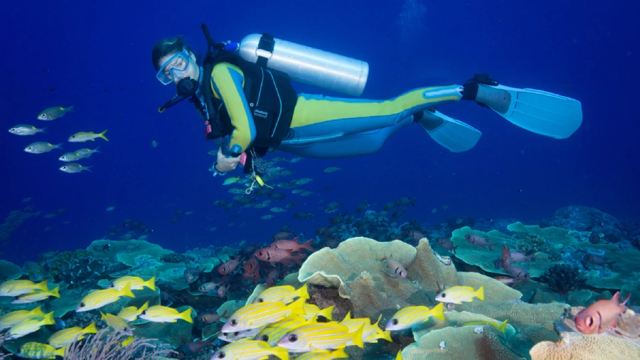 Top 5 Scuba Diving Spots in Goa Beaches for Adventure Lovers