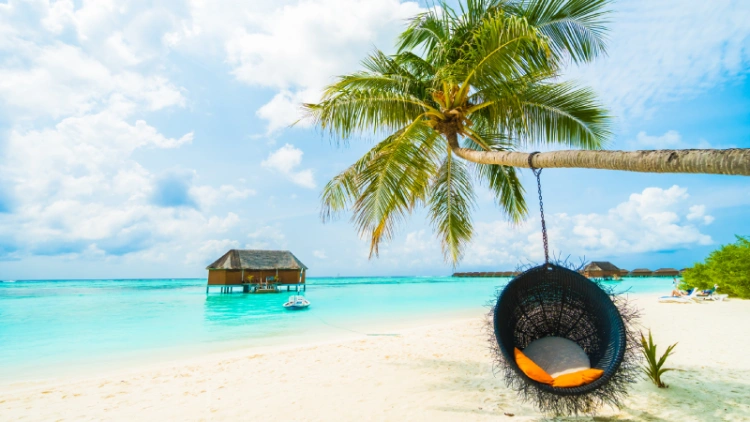 Top Resorts in Havelock Island for a Relaxing Vacation.