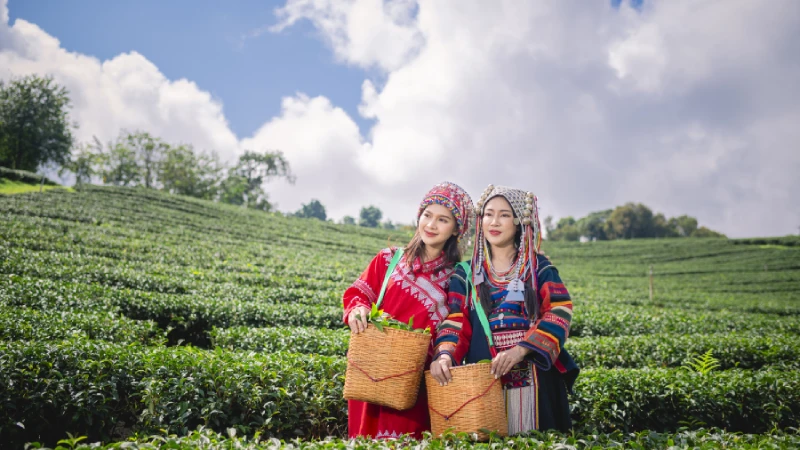 Traditional Weaving and Textiles of Darjeeling