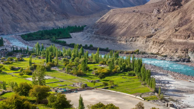 Turtuk Village Ladakh 2025: A Hidden Paradise Near Nubra Valley