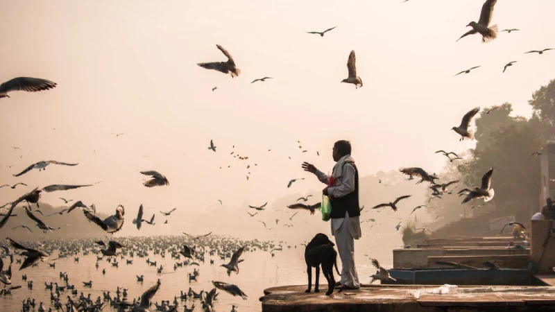 Varanasi Photography Spots: Best Places to Capture the Essence of the City