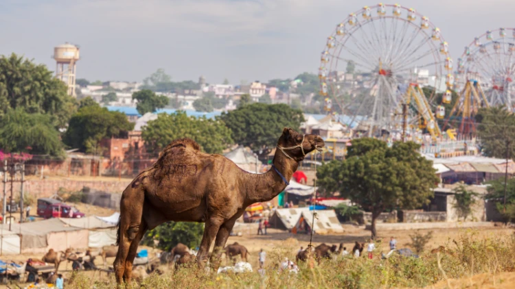 Cheapest Places to Visit in India for Backpackers